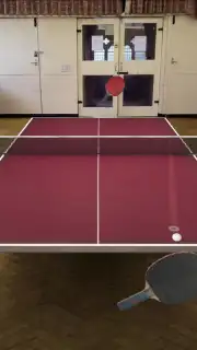 Table Tennis Touch скриншот 5