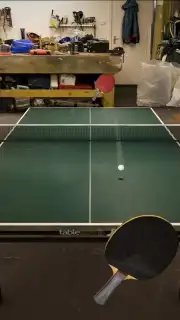 Table Tennis Touch скриншот 9