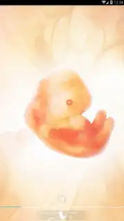 Pregnancy + скриншот 8