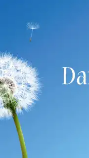 Dandelion скриншот 4