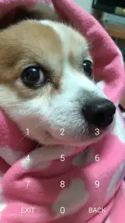 Secret Notes скриншот 4