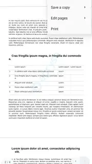 Progromatic DOCS Reader скриншот 3