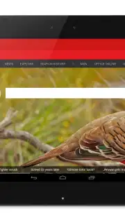 Anonymous Browser скриншот 2