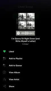 Spotify скриншот 22