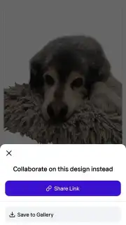 PhotoRoom скриншот 8