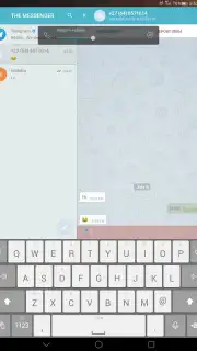 THE MESSENGER скриншот 4