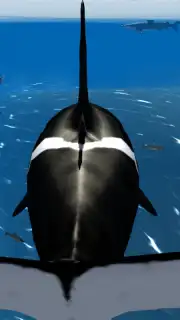 Orca Simulator скриншот 3