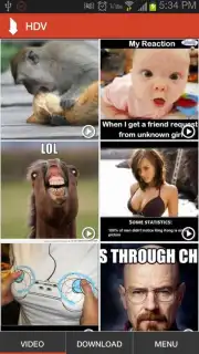 HD Video Downloader скриншот 1