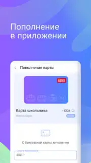 Транспортная карта скриншот 6