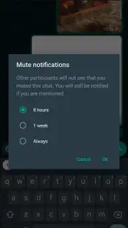 WhatsApp Messenger скриншот 11