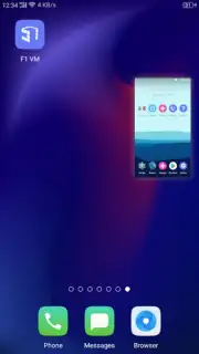 F1 VM скриншот 7