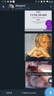 ForkGram скриншот 1