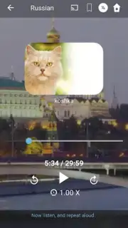 Bluebird Russian скриншот 5