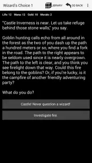 Medieval Fantasy RPG скриншот 8
