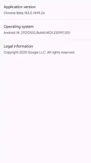Chrome Beta скриншот 23