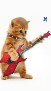 Talking, Dancing Cat. скриншот 3