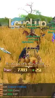 Silkroad Online скриншот 2