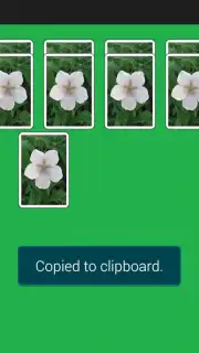 Spider Solitaire Game скриншот 5