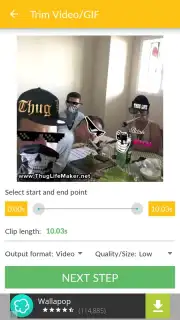 Video and GIF Memes скриншот 6
