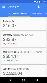 Google AdSense скриншот 4