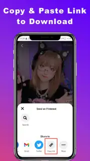Downloader for Pinterest скриншот 4