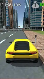 Car Simulator скриншот 6