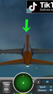 Airborne Simulator скриншот 1