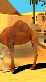 Camel Simulator скриншот 6