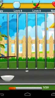 Parrot Pet Shop скриншот 8