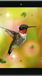 Colibri Spring 3D LWP скриншот 4