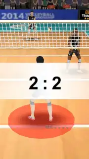 Volleyball 3D скриншот 3