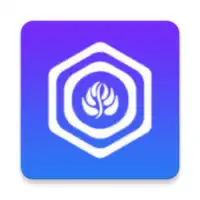 Open Browser