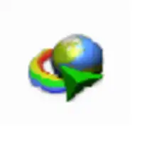 IDM (internet download menager)