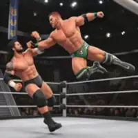 Tag Team Wrestling Games: Mega Cage Ring Fighting