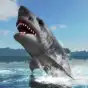 Great White Shark Survival