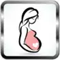 Pregnancy Weekly